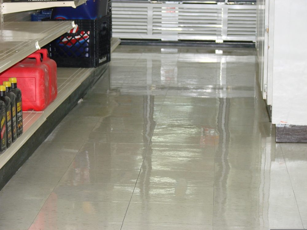 Photo of Dolphin Cleaning Service