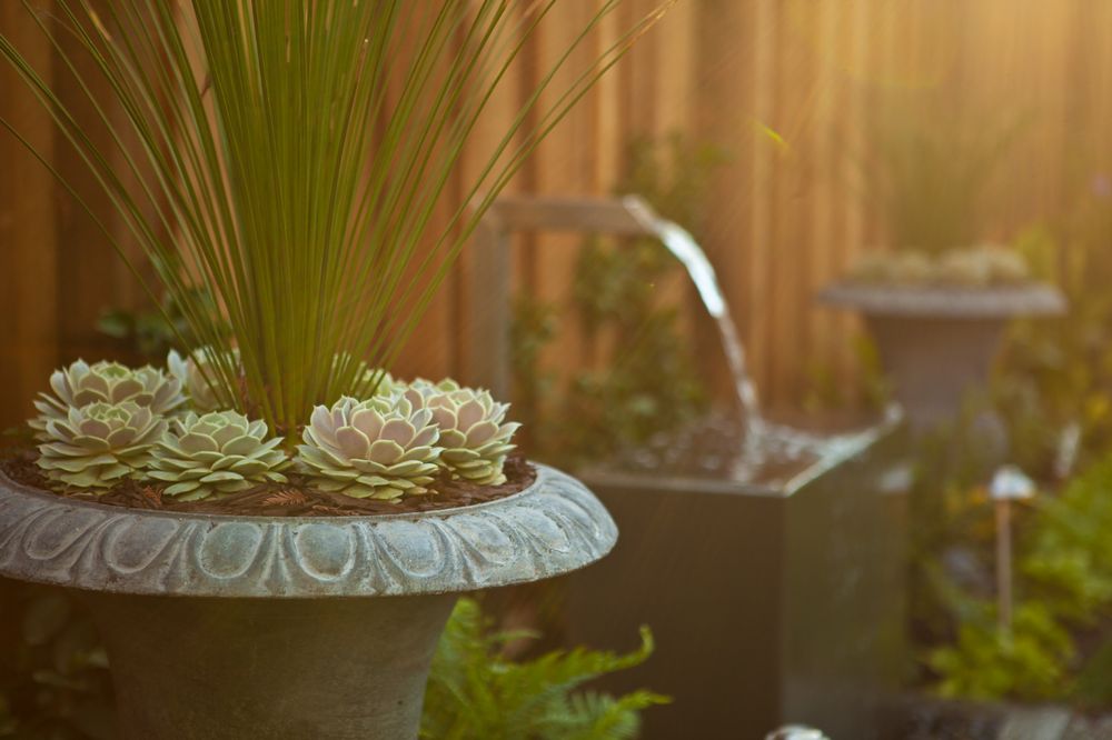 Photo of Modern Landscaping