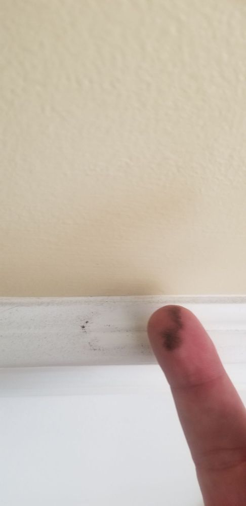 Photo of Green 1 Cleaning