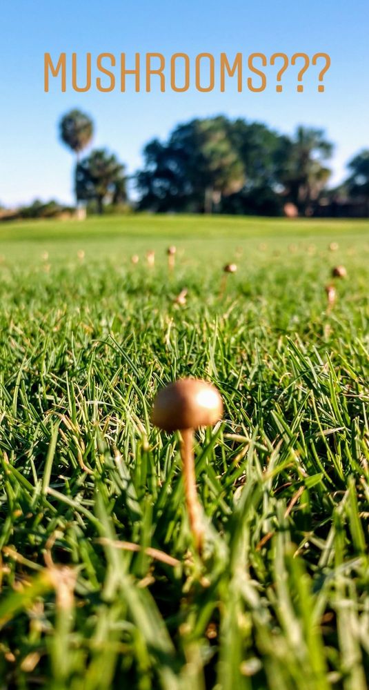 Photo of The Senator Course at Shula's Golf Club