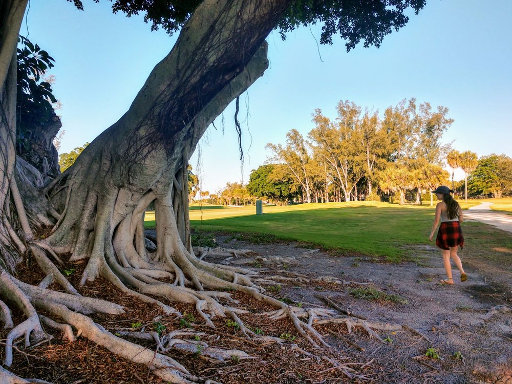 Photo of The Senator Course at Shula's Golf Club