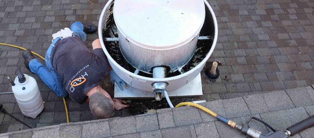 Photo of Halo Restoration Services