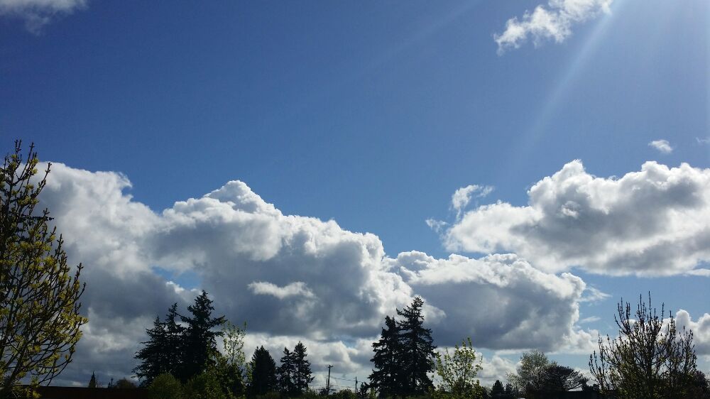 Photo of BlueSky Professional Services