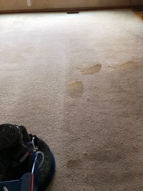 Photo of The Good Guys Cleaning & Restoration