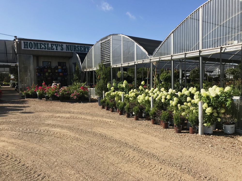 Photo of Homesley Nursery & Landscape