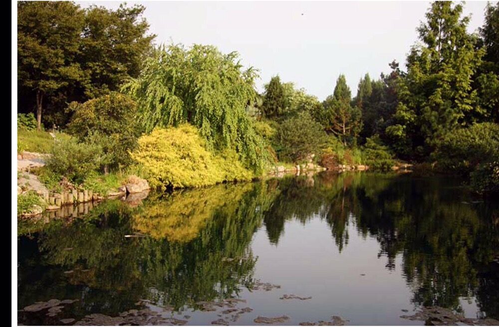 Photo of Shimizu Landscape Design