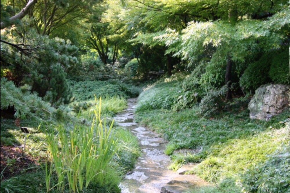 Photo of Shimizu Landscape Design