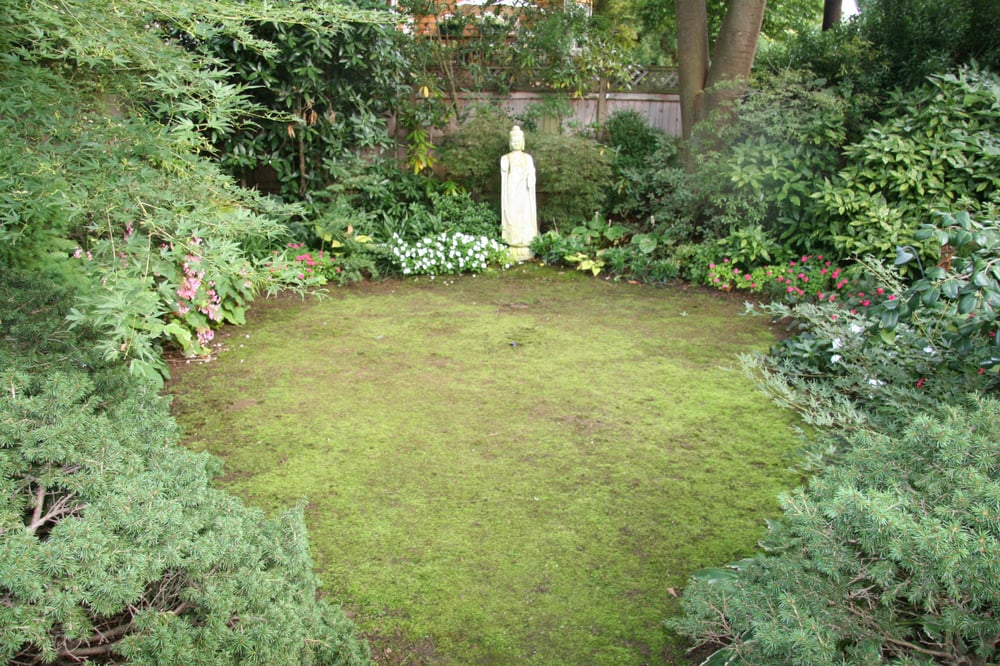 Photo of Shimizu Landscape Design