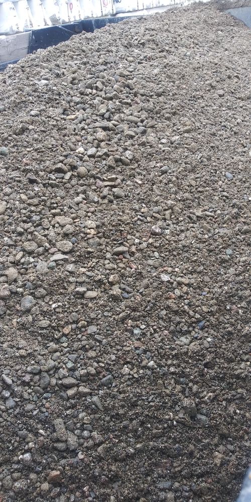 Photo of Rockery