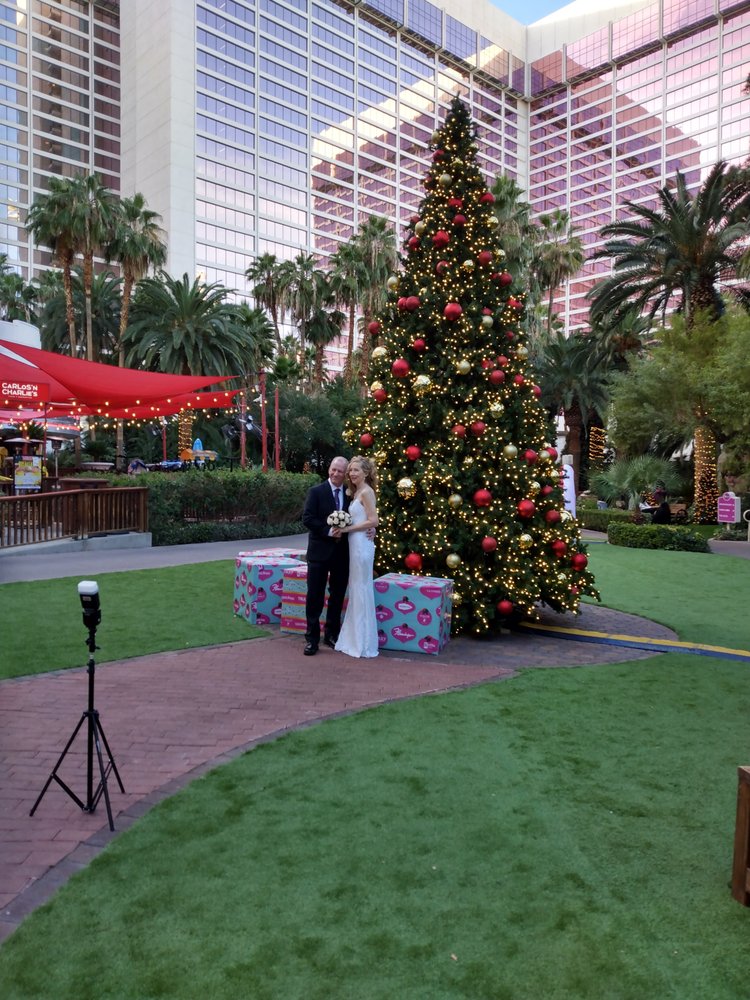 Photo of Michelle's Wedding & Party Planner