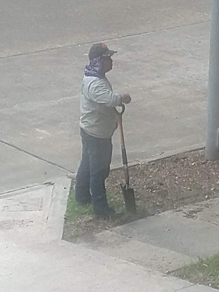 Photo of Burns Landscaping