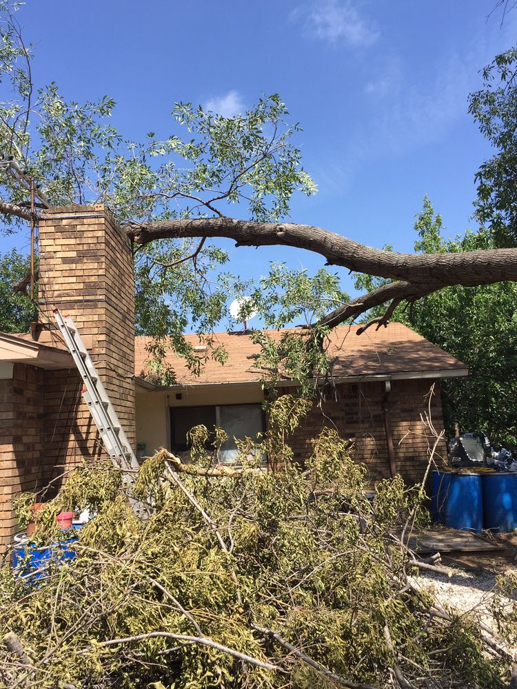 Photo of Anderton Tree Service