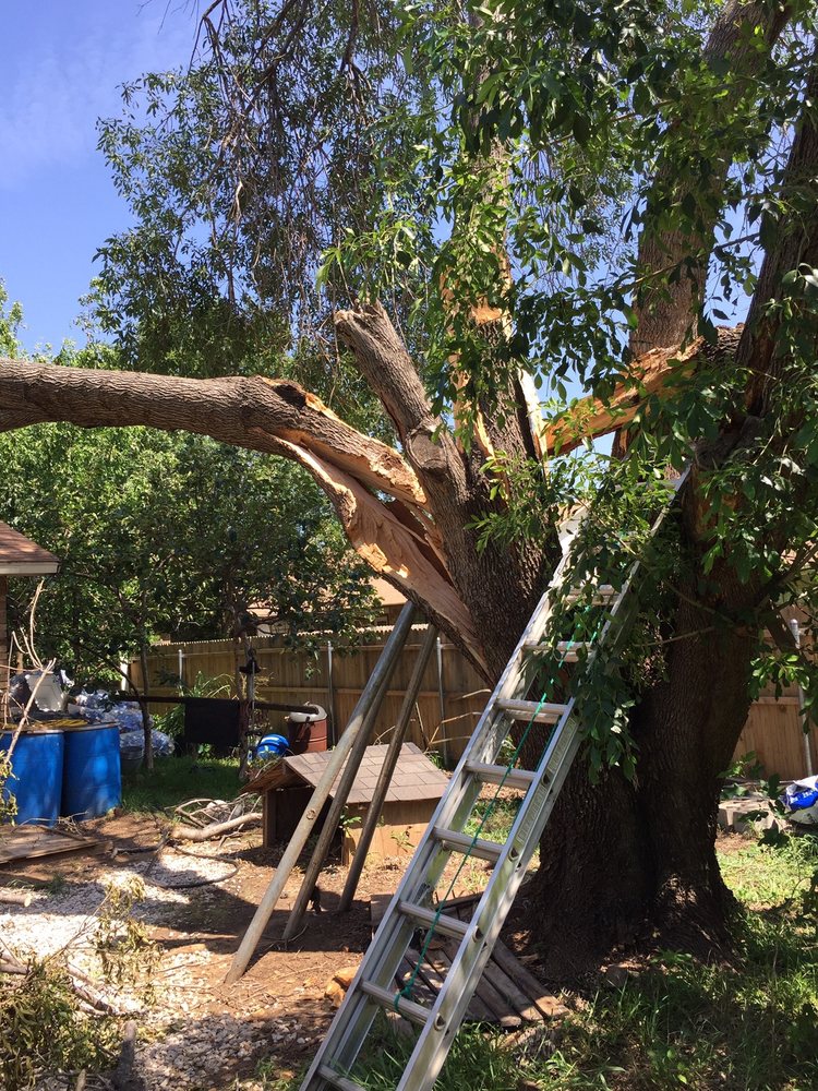 Photo of Anderton Tree Service