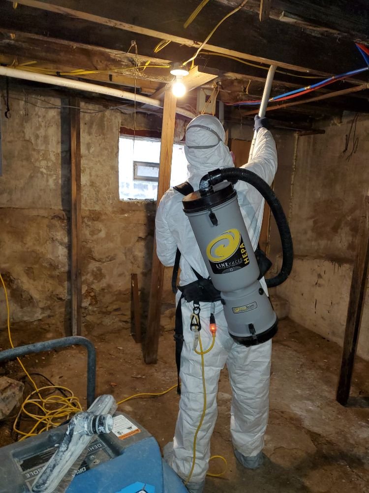 Photo of AMS Restoration