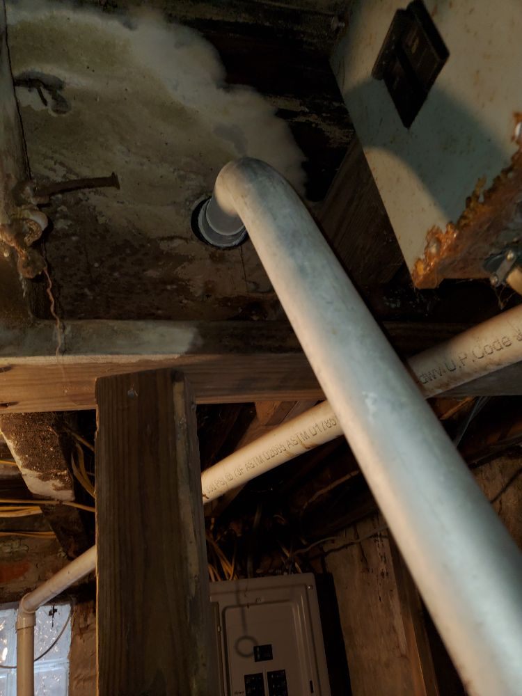 Photo of AMS Restoration