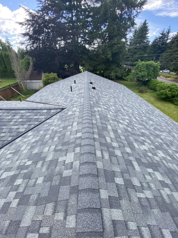 Photo of Rain Proof Roofing