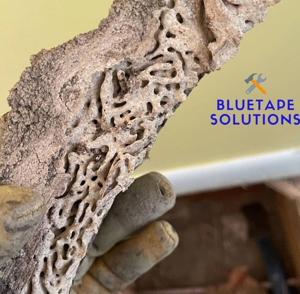 Photo of BlueTape Solutions