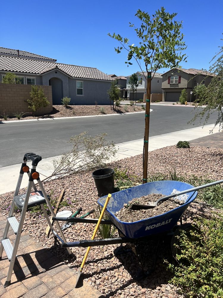 Photo of Vegas Landscape Design