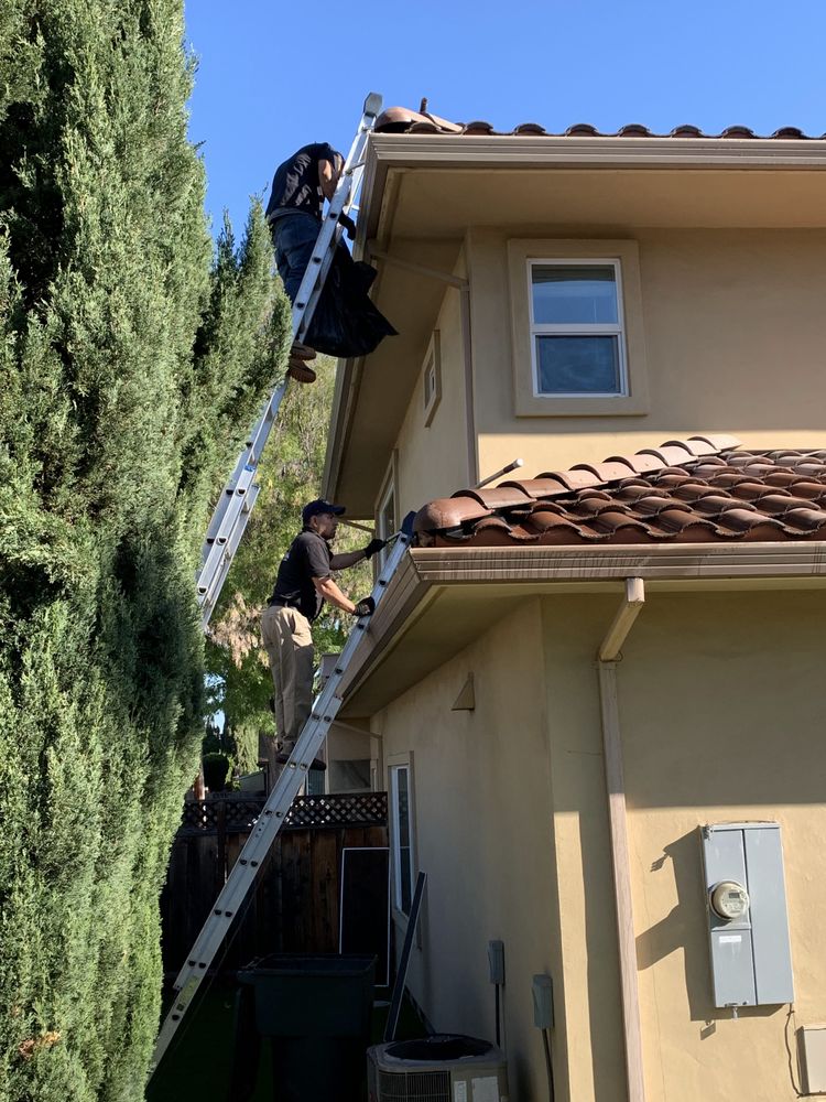 Photo of Happy Service Care