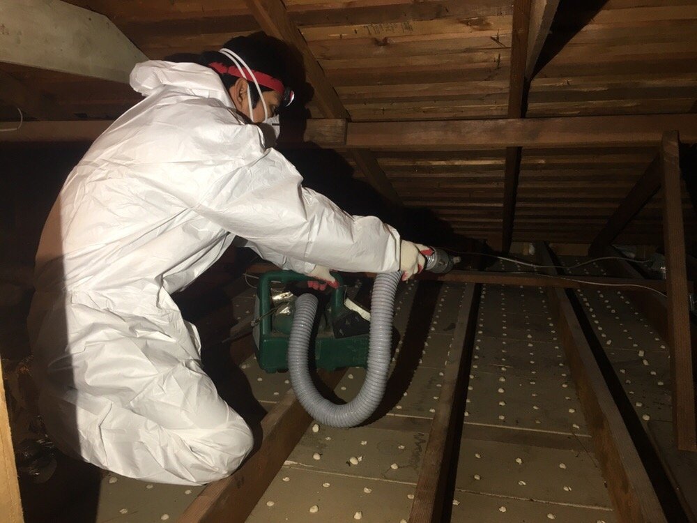 Photo of Attic Crew