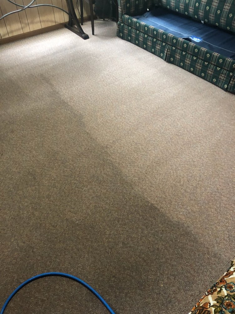 Photo of Eden Carpet Cleaning
