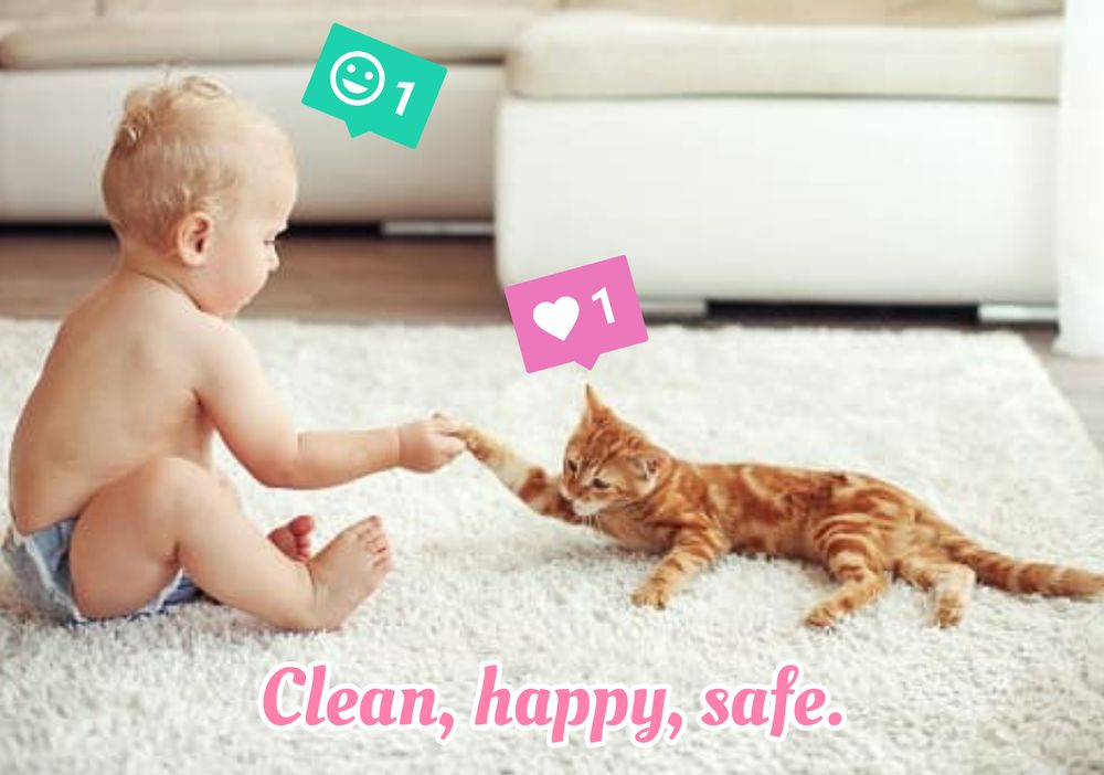 Photo of Recov Carpet Cleaning & Services