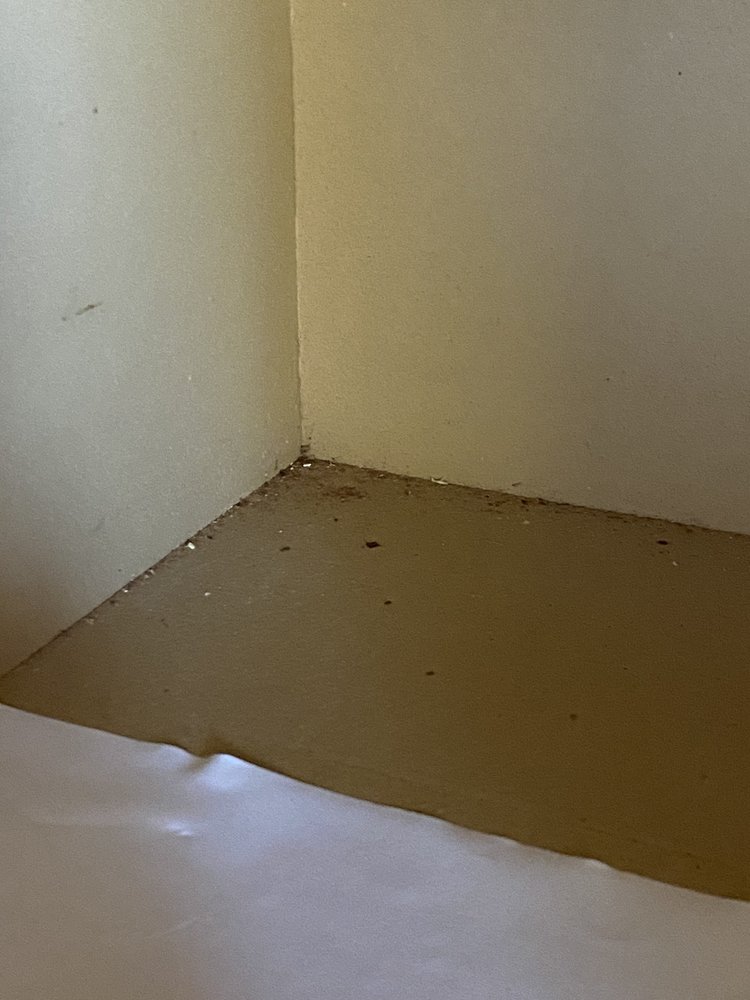 Photo of Kelly House Cleaning Service