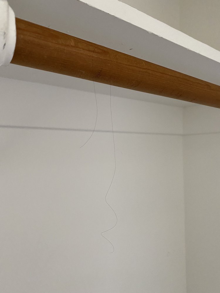 Photo of Kelly House Cleaning Service