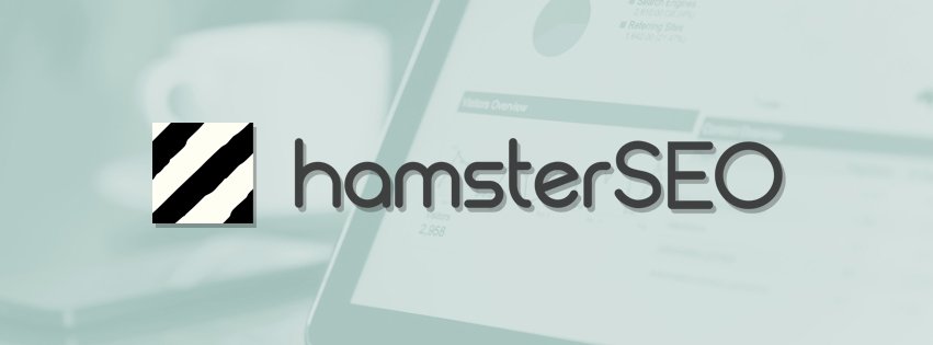 Photo of hamsterSEO