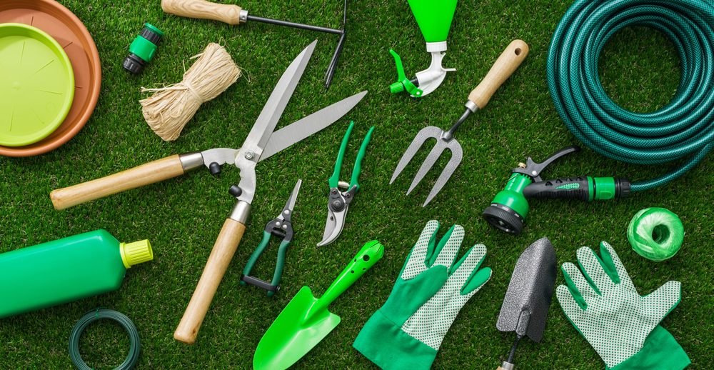 Photo of Discount Tree Service