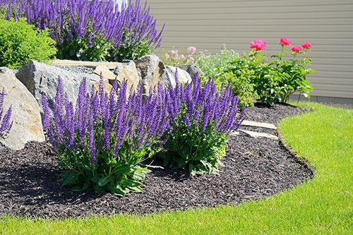 Photo of Ritzel Lawn Care