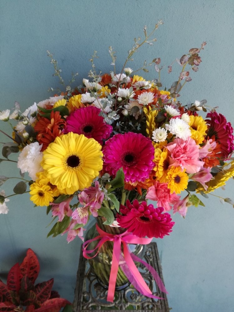 Photo of Rosarito Flowers