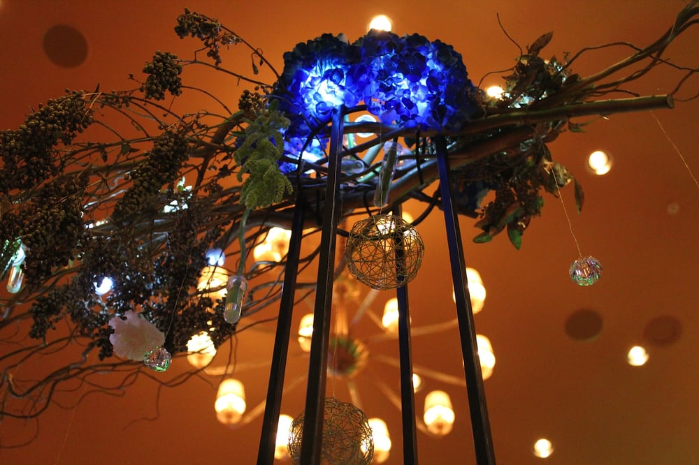Photo of The White Orchid Florist