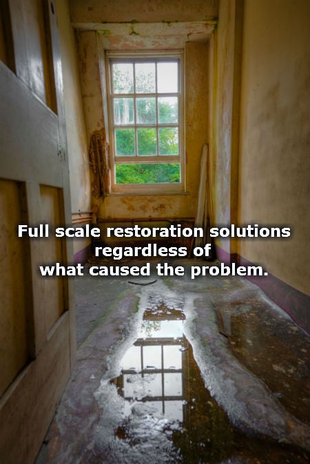 Photo of First Response Water Damage Restoration