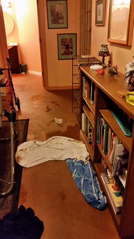Photo of First Response Water Damage Restoration