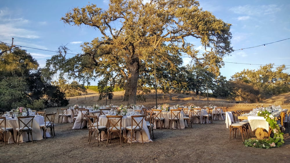 Photo of Amber Alyse Events