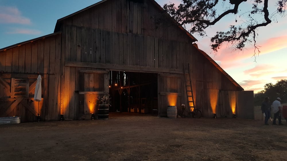Photo of Amber Alyse Events