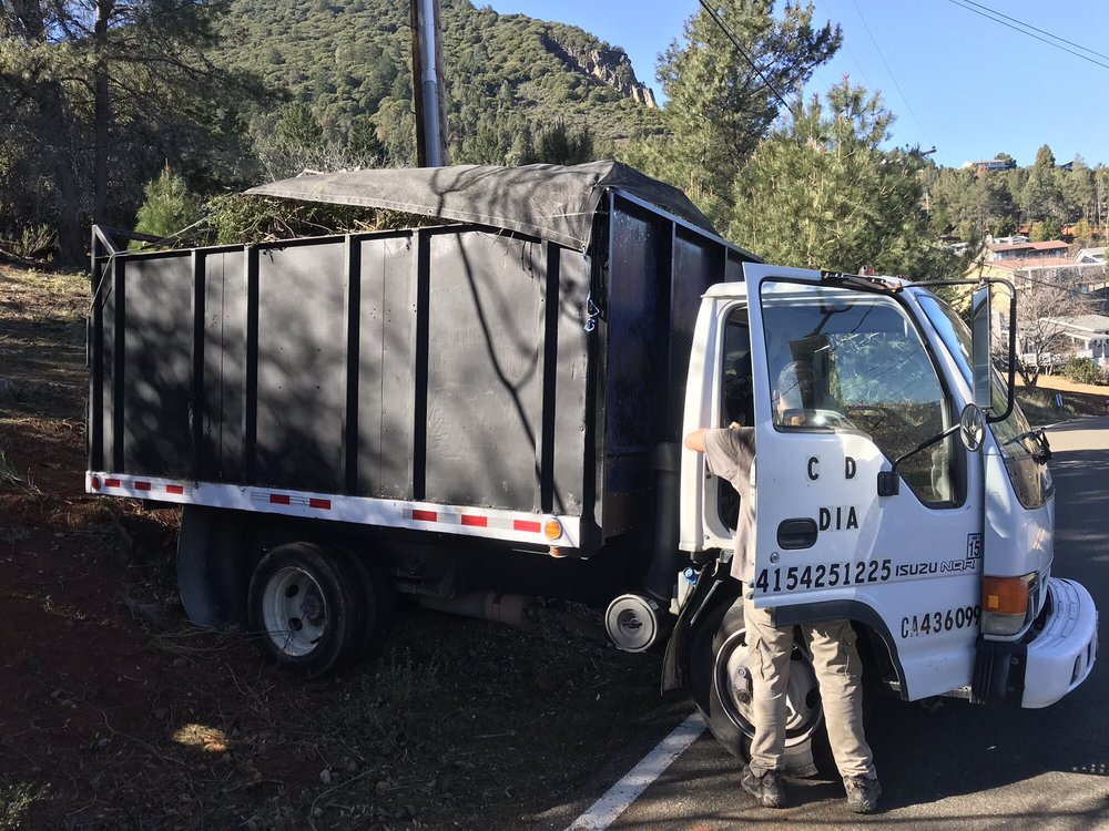 Photo of Gomez Hauling