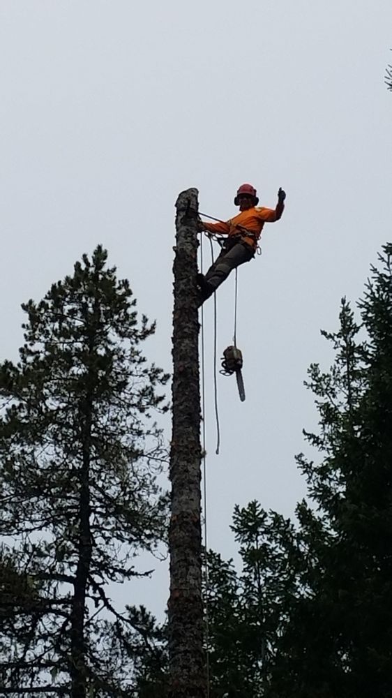 Photo of Flores Landscaping & Tree Service