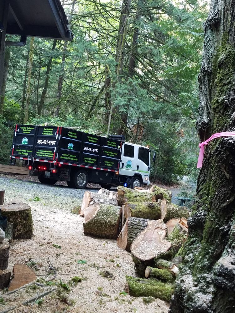 Photo of Flores Landscaping & Tree Service