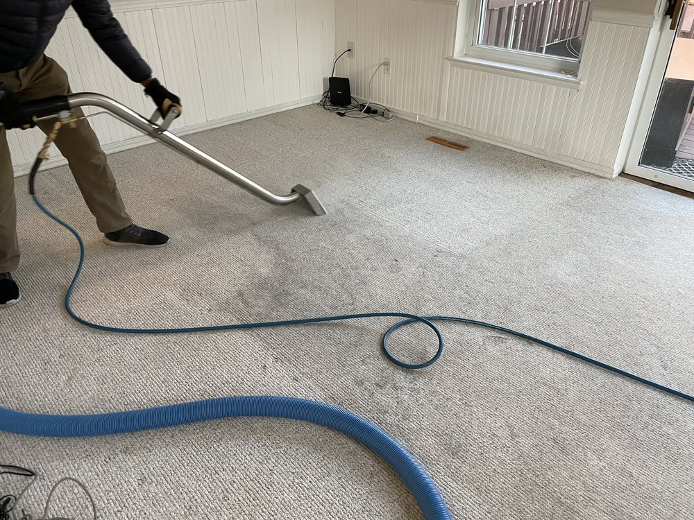 Photo of Professional Carpet Cleaning Plus