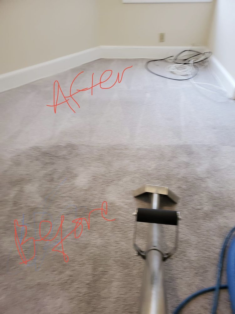 Photo of Professional Carpet Cleaning Plus