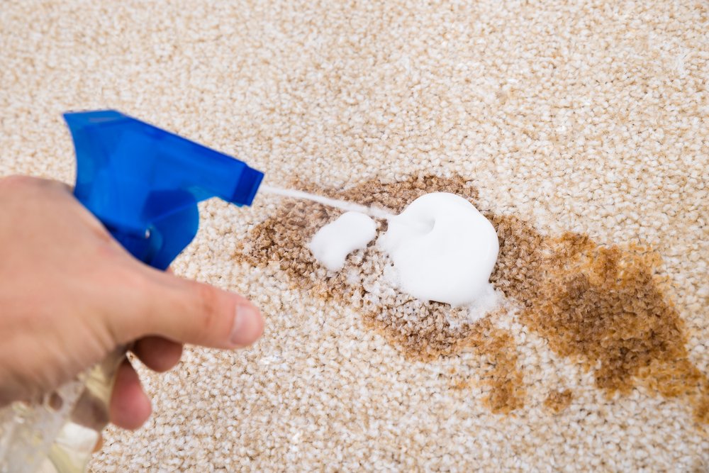 Photo of Professional Carpet Cleaning Plus