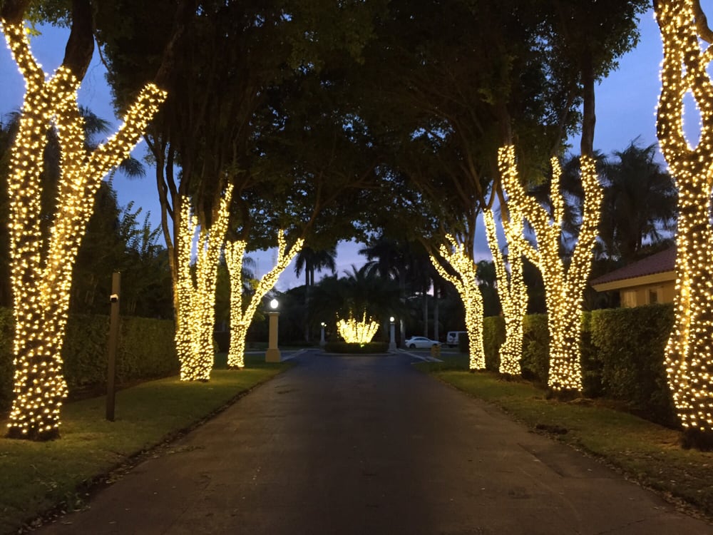 Photo of Mr Christmas Lights