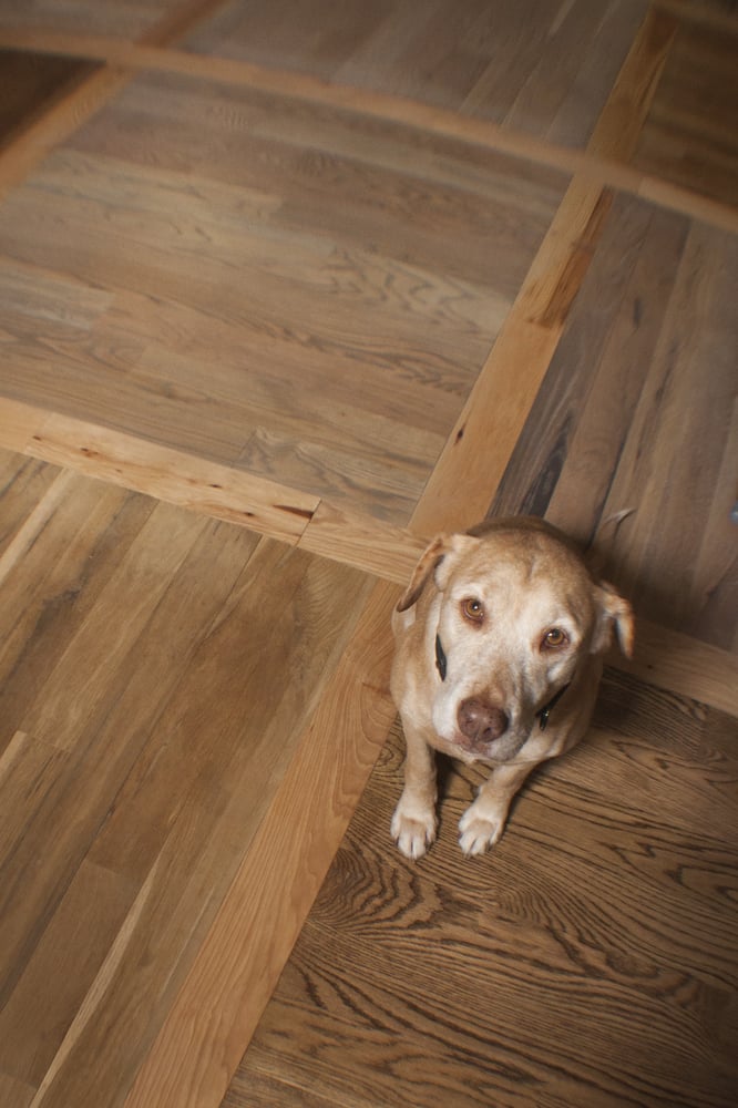 Photo of Professional Floor Covering & Cleaning