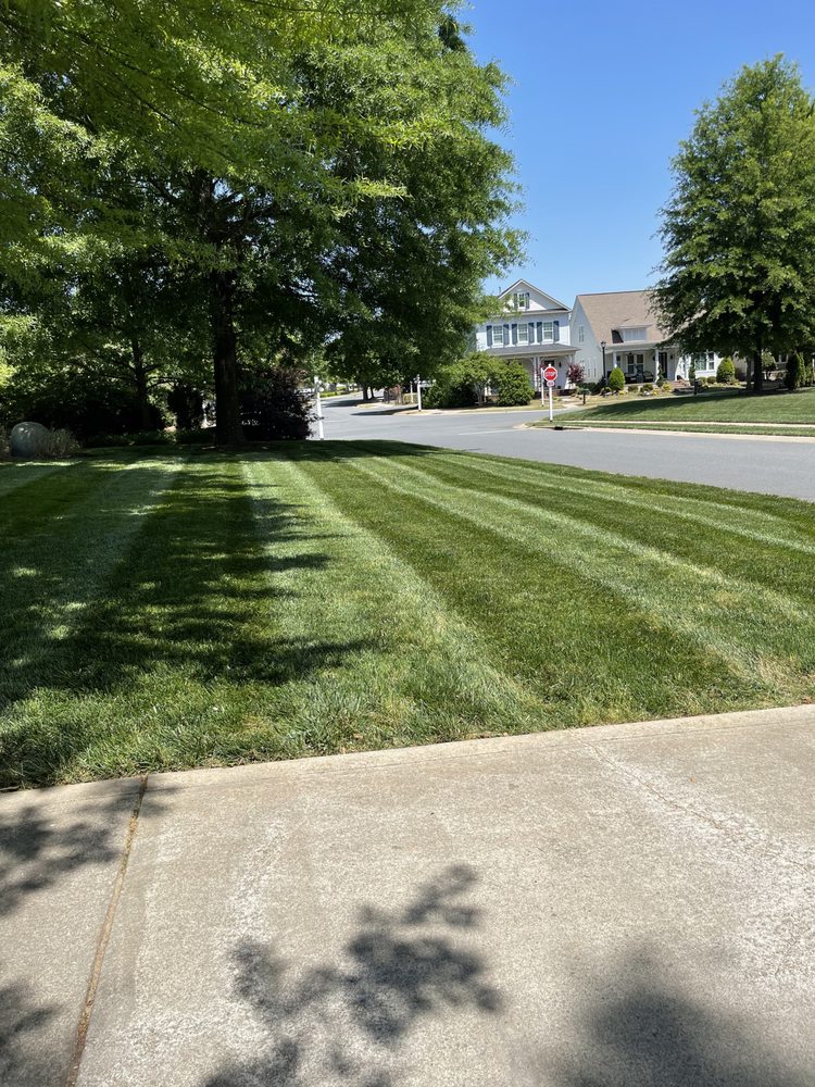 Photo of Teague Lawn Creations