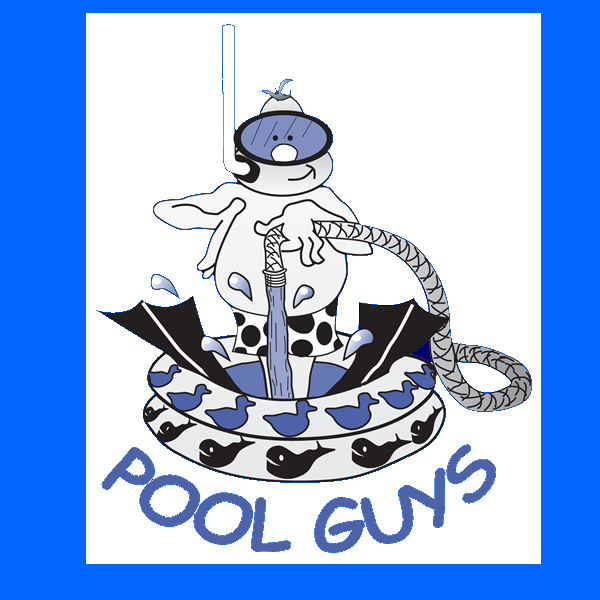 Photo of Professional Pool Care