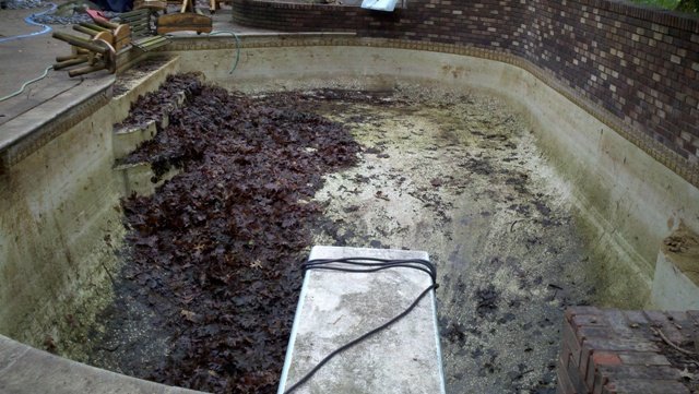 Photo of Professional Pool Care
