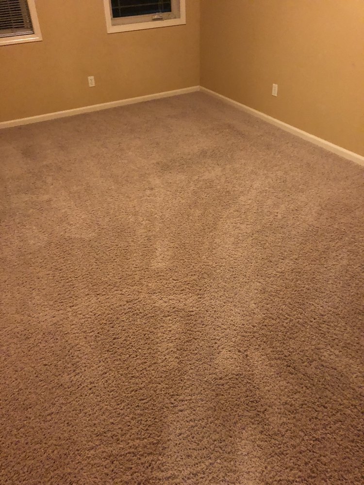 Photo of Carpet Geeks