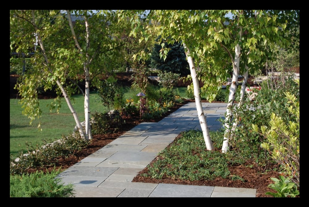 Photo of Contour Landscaping